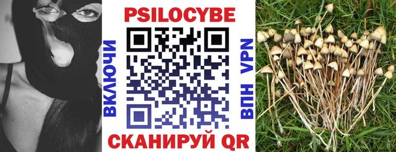 MEGA как войти  даркнет сайт  Верхняя Тура  Галлюциногенные грибы GOLDEN TEACHER 